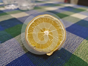 Fresh lemon squishy