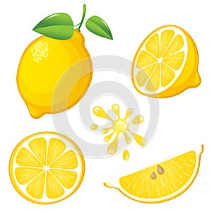 Fresh lemon. Vector illustration