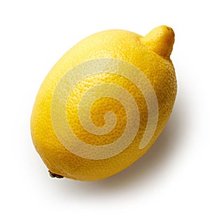 Fresh lemon on white background