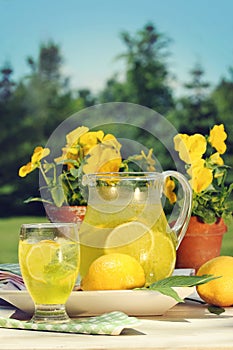 Fresh lemonade on a summer day