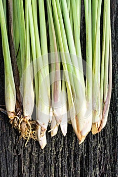 Fresh lemongrass