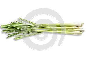 Fresh Lemongrass (citronella) on white background, with