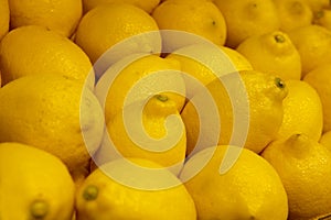 FRESH LEMONS