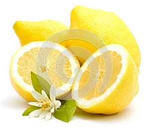 Fresh lemons