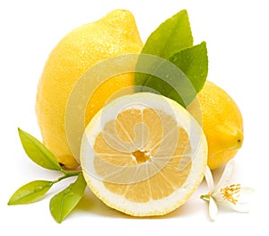 Fresh lemons photo