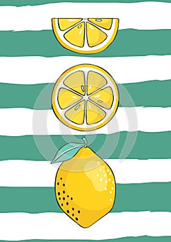 Fresh lemons background. Tropical fruit. Hand drawn backdrop. Design can be used for printing. Vector illustration.