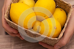 Fresh Lemons in Basket Held by Hands. Close-up of fresh yellow lemons in a woven basket held in hands