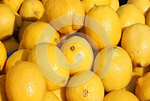 Fresh Lemons