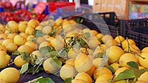 Fresh lemons at farmer market in France, Europe. Italian lemon. Street French market at Nice.