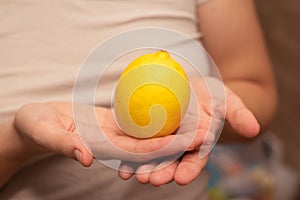 Fresh Lemons in female Hands. Close-up of fresh yellow lemons in a woman& x27;s hands