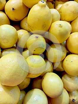 Fresh lemons on the market - ready to sale
