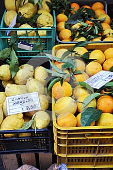 Fresh lemons, oranges and other fruits and vegetables on a street market in Sorrento, Amalfi Coast in Italy