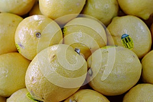 Fresh Lemons Produce