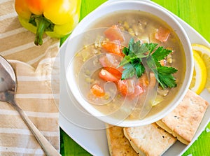 Fresh lentil stew in bowl with parsley