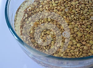 Fresh lentils in water