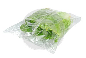 Fresh lettuce in a bag