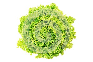 Fresh lettuce in the bowl on white background with clipping path