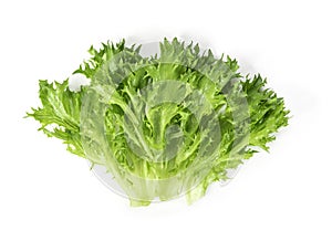 fresh lettuce isolated on white background