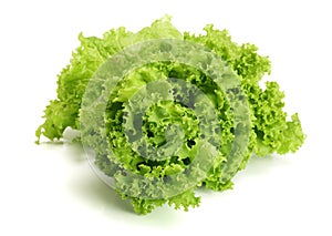 Fresh lettuce isolated on white background. Salad leaf