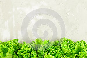 Fresh lettuce leaves border over grey concrete