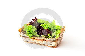 Fresh lettuce leaves in a wicker basket on a white isolated background