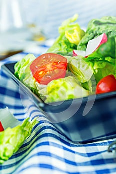 Fresh lettuce salad with cherry tomatoes radish and carafe with olive oil on wooden table.