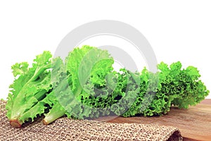 Fresh Lettuce salad leaves on wooden board and sack, isolated on white background. Healthy Foods Concept