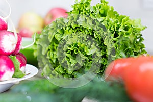 Fresh lettuce, tomatoes, radish and dill on a dish.