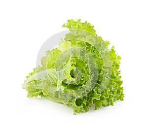 Fresh lettuce on white  background