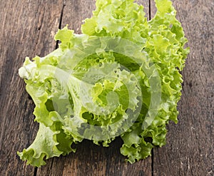 Fresh lettuce on wooden background