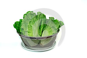 Fresh lettuces in metal drainer on white background photo