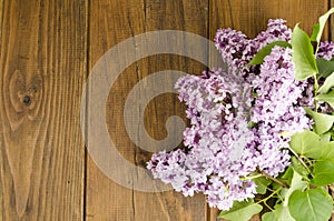 Fresh lilac branch on wooden table. Photo