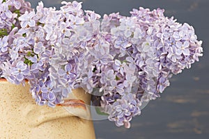 Fresh lilac flowers in the beige ceramic pot against blue background.