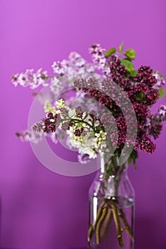 Fresh lilac flowers in a simple glass vase