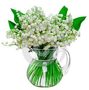 Fresh lilies of the valley in a glass jar isolated on white back