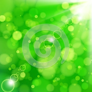 Fresh lime blur background with sunlight spots.