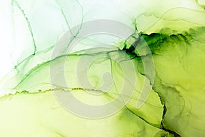 Fresh Lime ethereal painting. Vibrant Green alcohol ink abstract background. Hand painted ink texture. Modern art