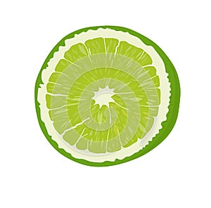 Fresh Lime fruit.