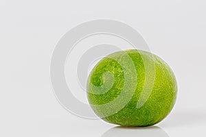 Fresh lime isolated on white background. Fresh green lime A black shadow on a white background.