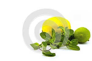 fresh lime, lemon and mint isolated on white