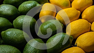 Fresh lime and lemons background on market counter. Organic lemon on supermarket