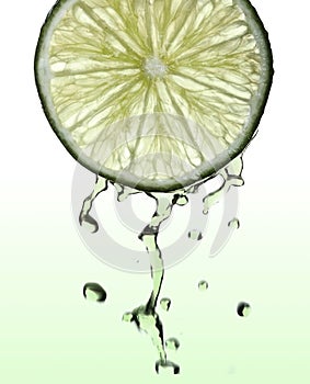 Fresh lime slice with juice drops