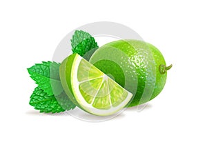 Fresh limes with leaves and mint. Realistic citrus fruit and peppermint. Mojito ingredient 3d vector