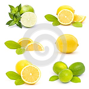 fresh limes and lemons - collage