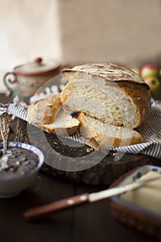 Fresh Loaf of No-Knead Bread