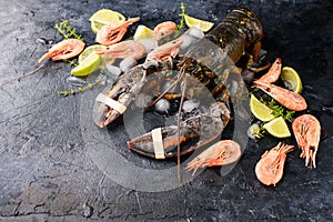 Fresh lobster on a dark background with shrimps, lime, sprigs of defroster, view from above. A place for text. Fresh seafood