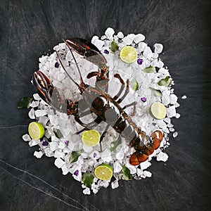 Fresh Lobster on Dry Ice Crystals or Solid Carbon Dioxide