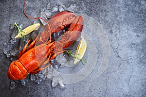 Fresh lobster food on a black plate background - red lobster dinner seafood with herb spices lemon rosemary served table and ice