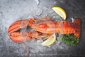 Fresh lobster food on a black plate background / red lobster dinner seafood with herb spices lemon served table and ice in the