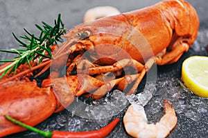 Fresh lobster food on white plate background, Red lobster dinner seafood with herb spices lemon rosemary on ice in the restaurant